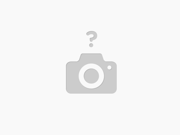 TONER HP ALTERNATIVO EVERTEC HP 258A SIN CHIP (PN130100165)